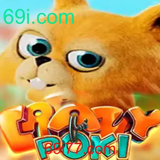 Explorando o Universo de CrazyPoki: Regras e Dicas Essenciais